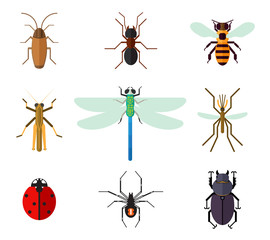Icon set of insects in flat style