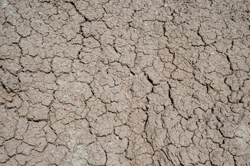 Dried and cracked mud, illustrating drought and desert conditions