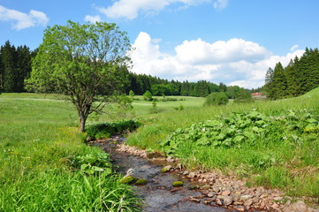 Landschaft im Kanzlersgrund / Thüringen