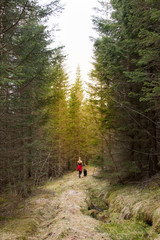 Fototapeta premium Girl walking her dog in the forest