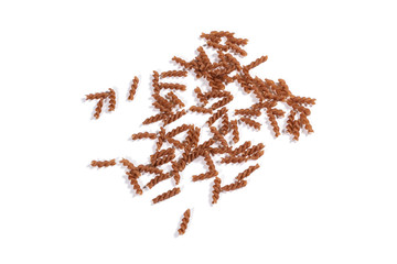 Whole wheat cooking pasta