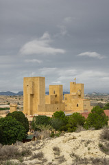 Obraz premium The castle