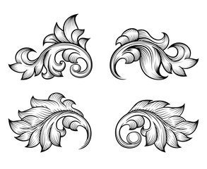 Vintage baroque scroll leaf set in engraving style
