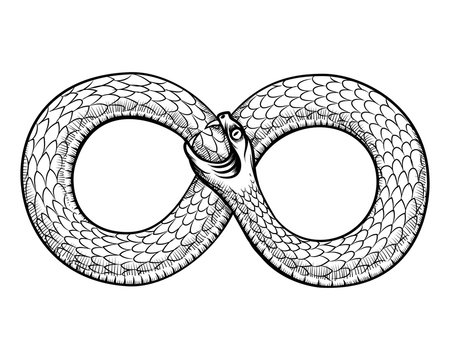 Snake curled in infinity ring. Ouroboros devouring its own tail
