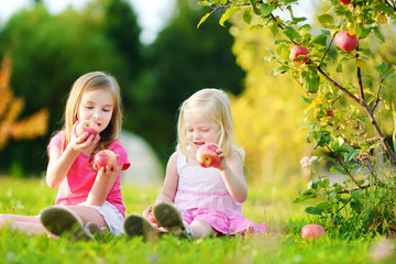 Two little girls picking apples in a garden