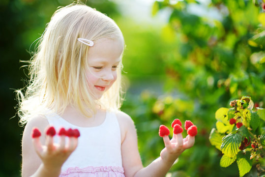 Adorable girl eating raspberries off her fingers