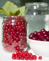 Berries on the table