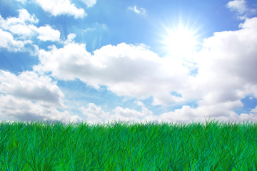 Fototapeta na wymiar Grass and sky with sun and clouds