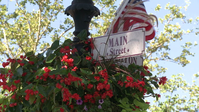 Red flowers hanging on sign for Main Street