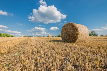 Straw bales on the stubble field beneath blue sky with clouds