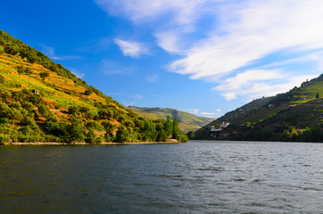 Fototapeta premium river Douro valley, Portugal