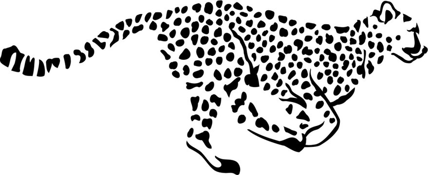 Running Leopard Gepard