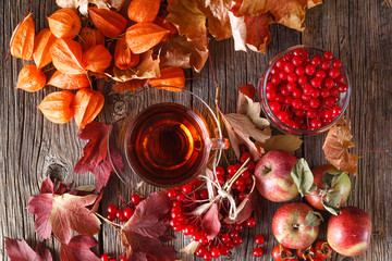 Fall harvesting on rustic wooden background