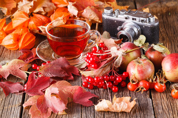 Fall harvesting on rustic wooden table with vintage camera
