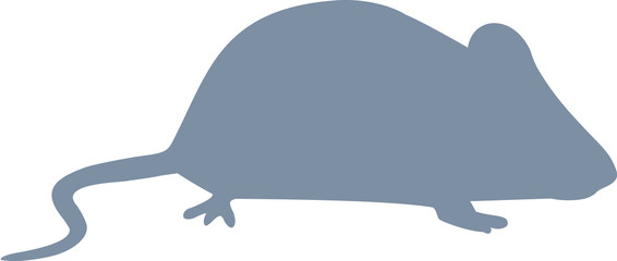 Grey Mouse