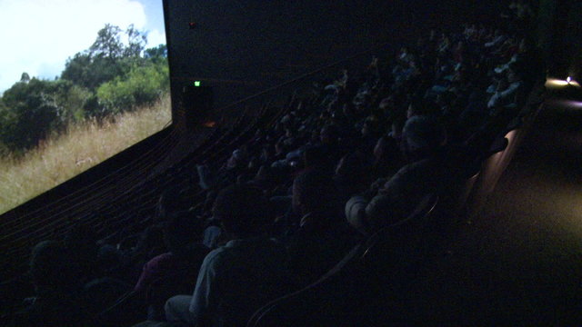 Crowds enjoying a nature documentary