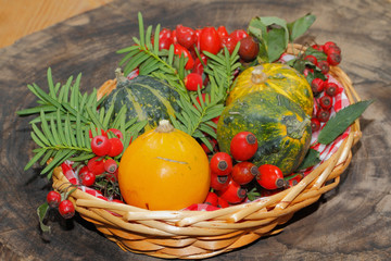 Herbstdekoration, Kürbis, Zierkürbis, Hagebutten, Beeren