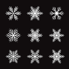 Collection of White Snowflakes. Black Background.