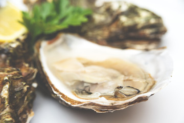 Ostriche fresche su fondo bianco 