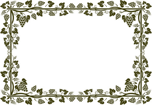 Silhouette Of Grapevine Frame