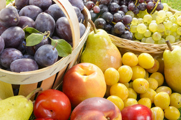 different seasonal fruits, plums, pears, grapes