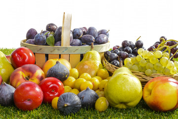 different seasonal fruits, plums, pears, grapes
