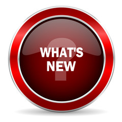 new red circle glossy web icon, round button with metallic border