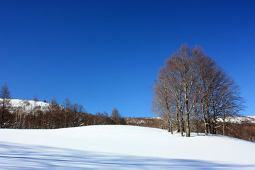 Fototapeta premium 青空と雪の丘