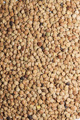 lentils