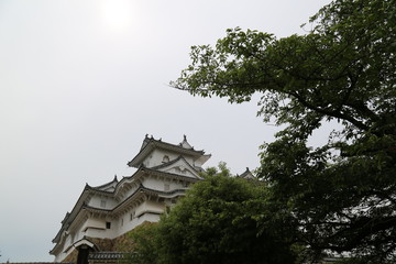 Fototapeta premium 姫路城と薄明り