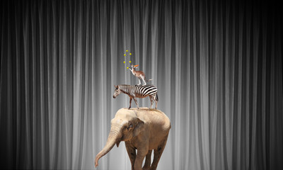 Zirkus in der Stadt © Sergey Nivens