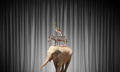 Zirkus in der Stadt © Sergey Nivens