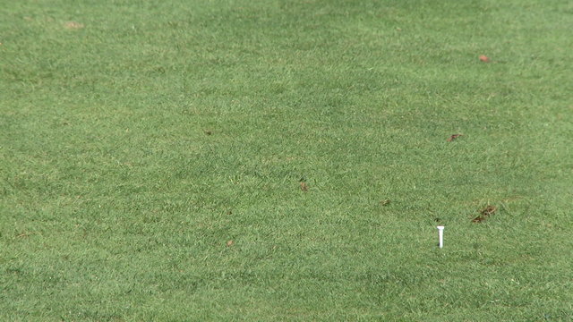 Close-up of driver connecting with golf ball