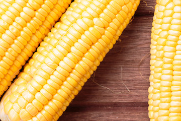 Fresh sweet corn on wooden table