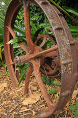 Rusty wheel of an old agricultural machine in grass.