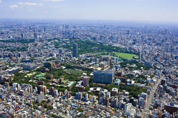 東京大学上空／東京大学手前に上野方面を望む