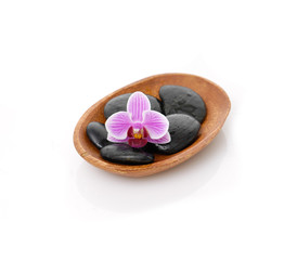 Fototapeta na wymiar pink orchid with black stones in wooden bowl