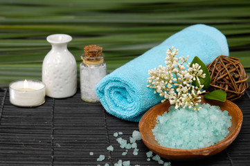 Spa set on mat with green plant
