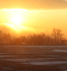 Obraz premium Fantastic evening winter landscape, the sun breaks through the clouds