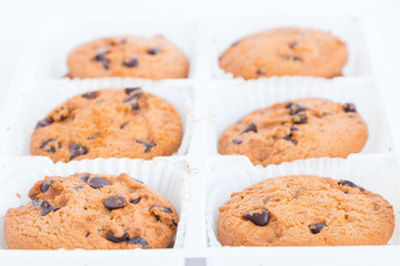 cookies on white background.
