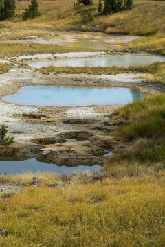 Thermal pools and lime crust, Yellowstone National Park, Wyoming