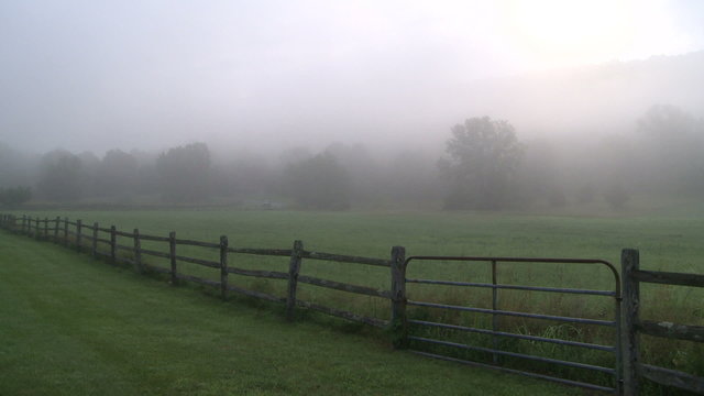 Looking at a wide gate going in to a foggy meadow