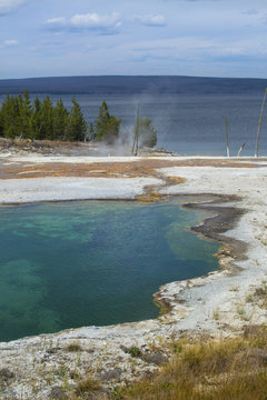 Steaming hot springs on shore of Yellowstone Lake, Wyoming, vert