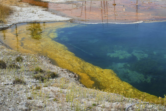 Blue, yellow and orange water of hot springs, Yellowstone, Wyomi