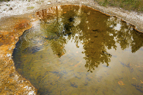 Reflections in a brown hot spring, with bubbles, Yellowstone Par