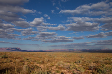 Grand Canyon-North Rim-Saddle Mountain Wilderness. View of Vermillion Cliffs along Saddle Mountain Road heading into the Wilderness.