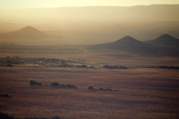 Arid landscape