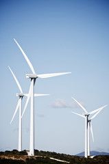 Fototapeta premium wind turbines