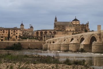 Fototapeta premium cityscape of Cordoba, Spain