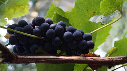 Красота природы